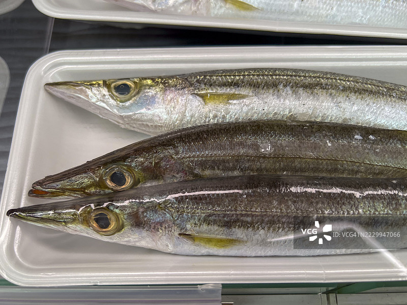 包装好的生巴拉库达鱼（鲭鱼）图片素材