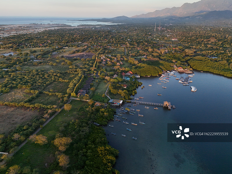 巴厘岛西部门贾干岛的海洋森林。图片素材