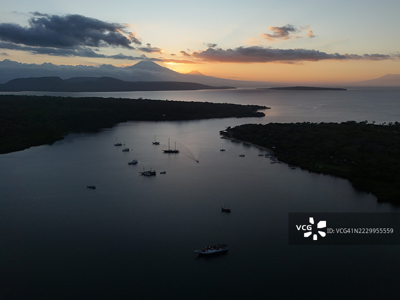 巴厘岛西部门贾干岛的海洋森林。图片素材