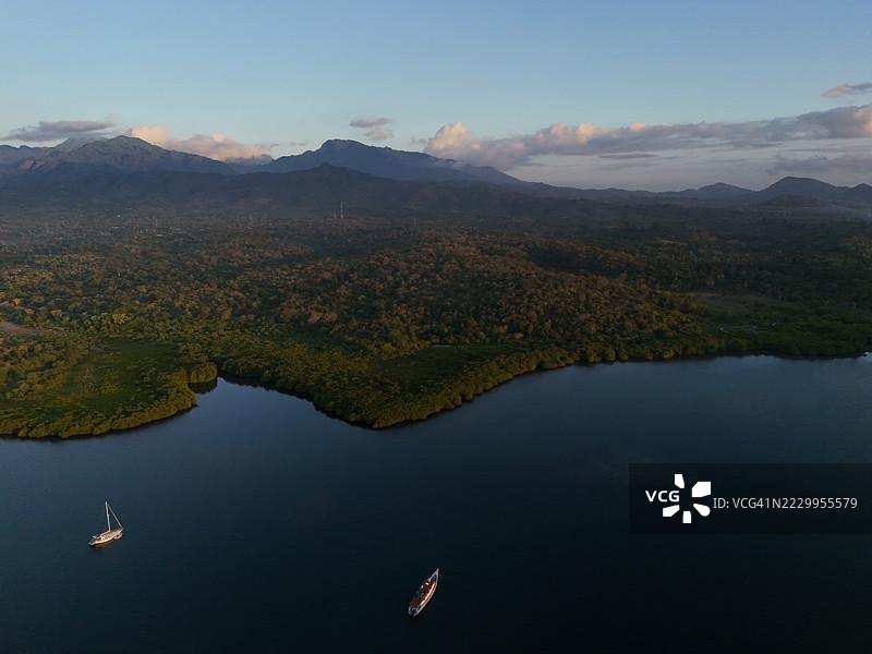 巴厘岛西部门贾干岛的海洋森林。图片素材