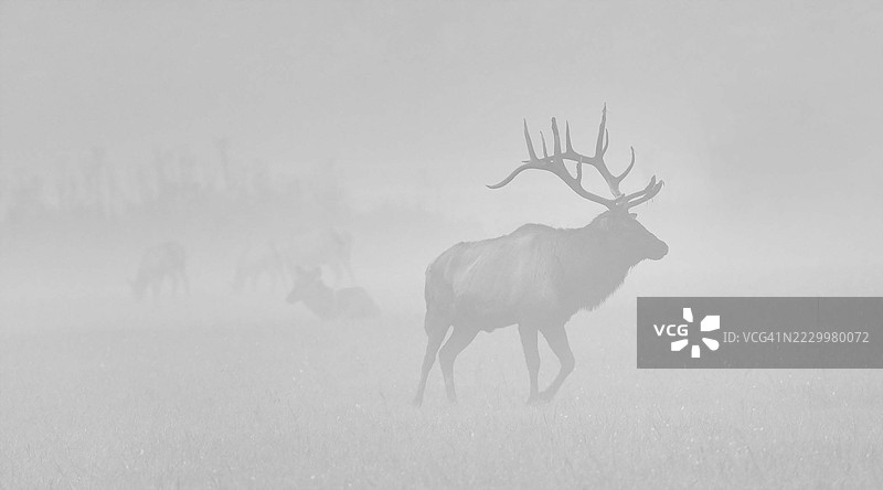 大烟山国家公园图片素材