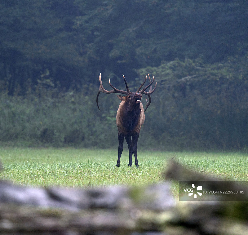 大烟山国家公园图片素材