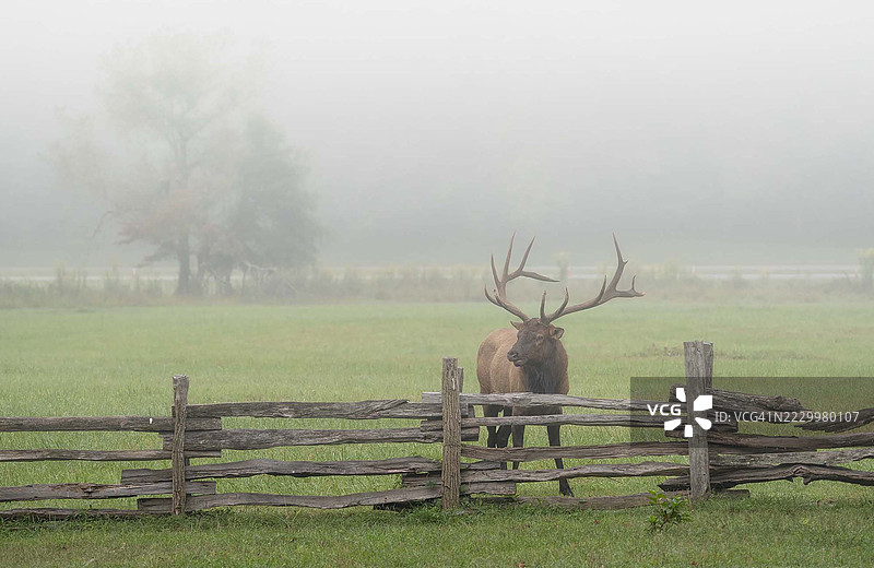 大烟山国家公园图片素材