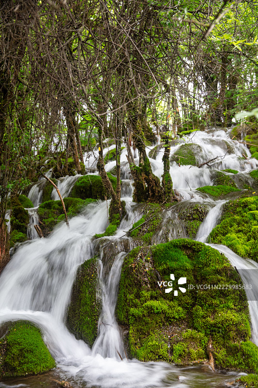 中国四川九寨沟诺日朗瀑布的苔藓覆盖悬崖图片素材