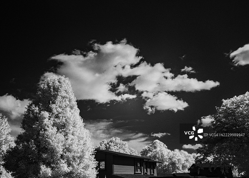 天空下的树木，西德莫因，爱荷华州，美国图片素材