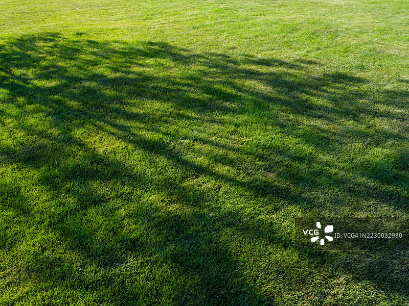 草地背景图片素材
