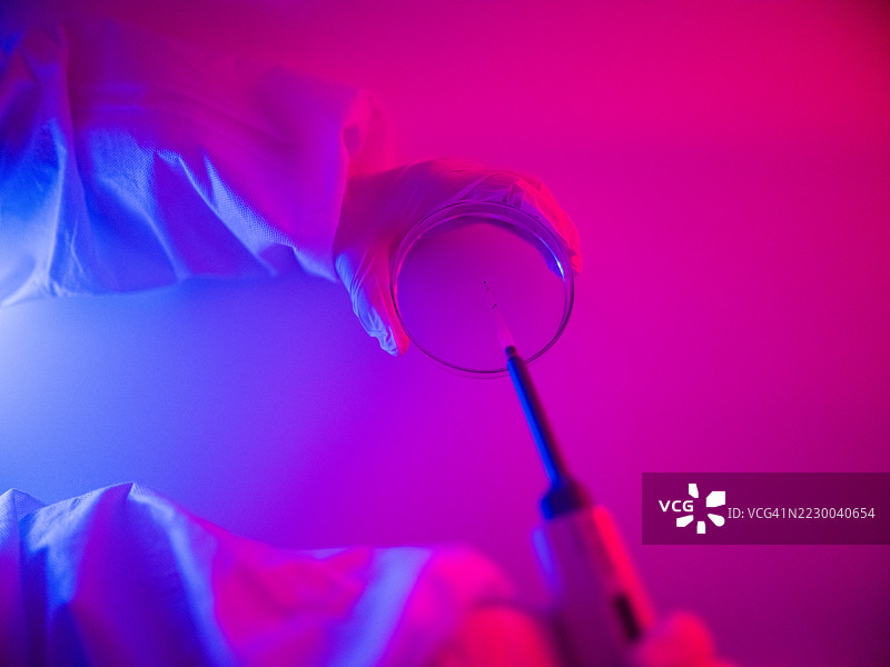 移液管和培养皿的特写镜头图片素材