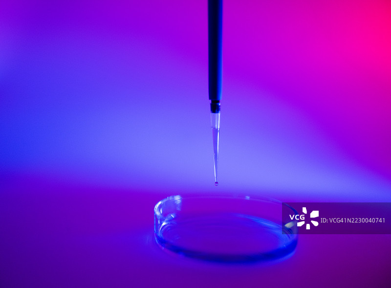 移液管和培养皿的特写镜头图片素材