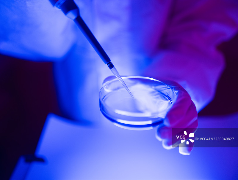 女性科学家手持移液管和培养皿图片素材