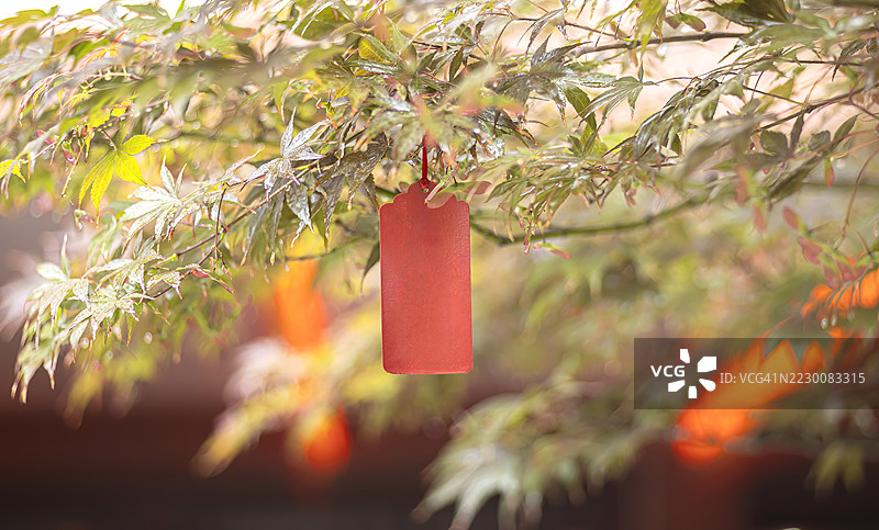 秋季的中国新年红色纸张抽象背景图片素材