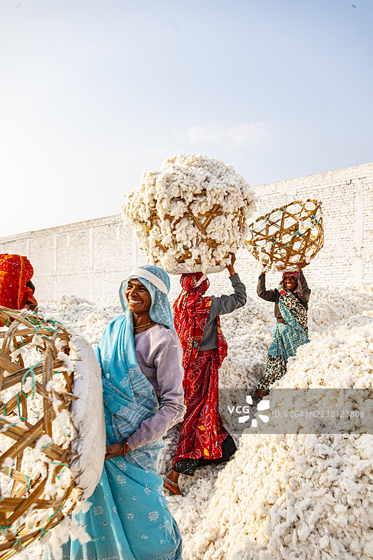 印度，棉花工厂图片素材
