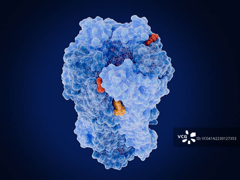 烟碱型乙酰胆碱受体插图图片素材