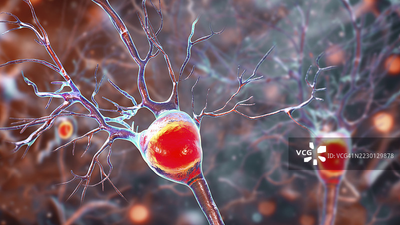 普金耶神经元插图图片素材