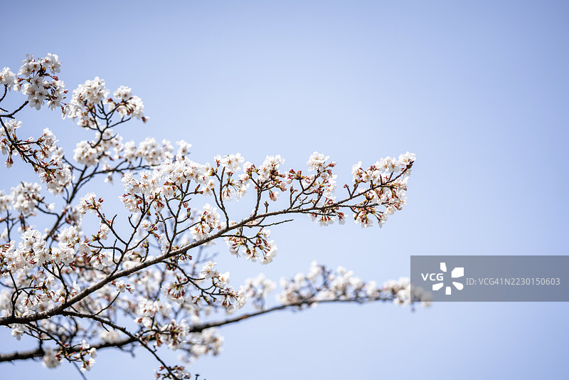 户外，自然，风景，天空，公园图片素材
