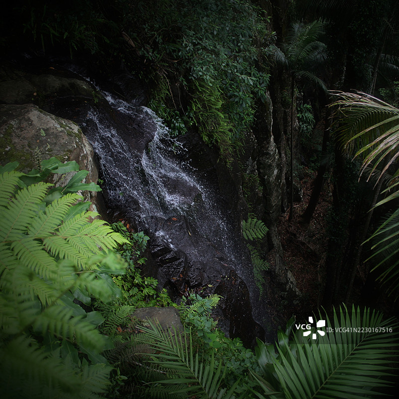 宁静的瀑布穿过郁郁葱葱的雨林图片素材
