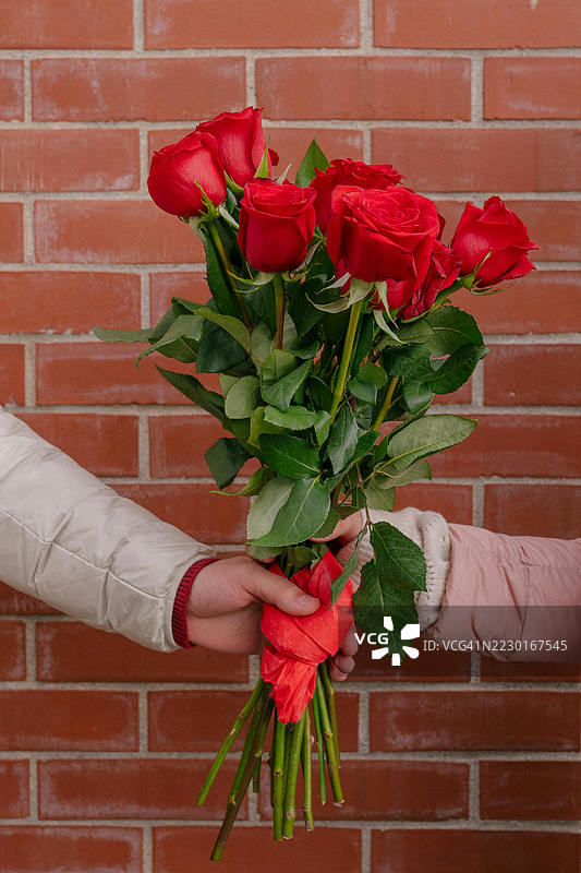 两个人在砖墙前互赠一束红玫瑰图片素材