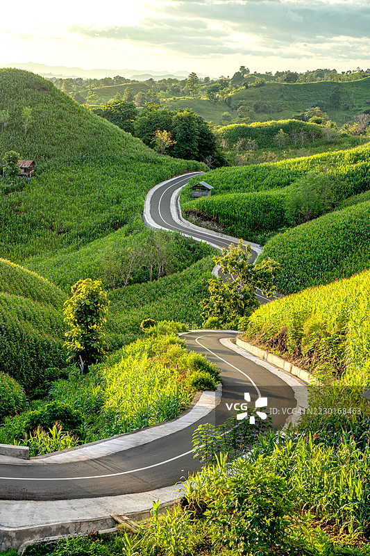 日出时分，蜿蜒的道路穿过郁郁葱葱的绿色山丘，印度尼西亚图片素材