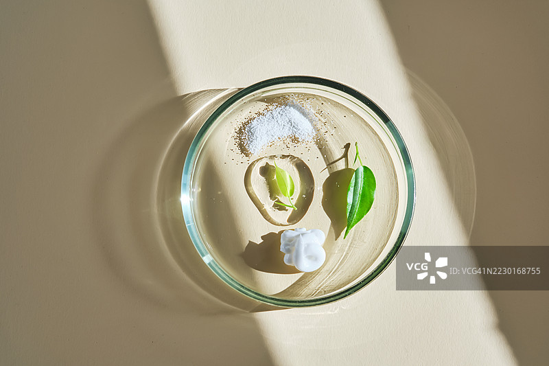 天然成分和化妆品在米色背景的培养皿中图片素材