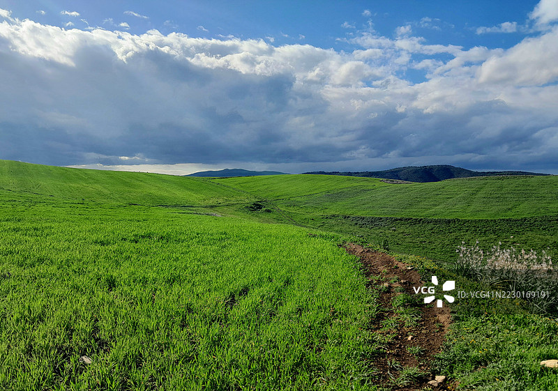 云雾缭绕下的起伏绿丘图片素材