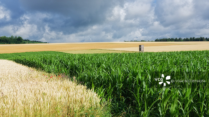 德国阴云密布的农业田野风光图片素材