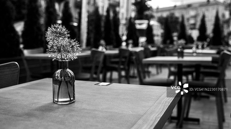 黑白色户外咖啡馆，桌上摆放着花瓶图片素材