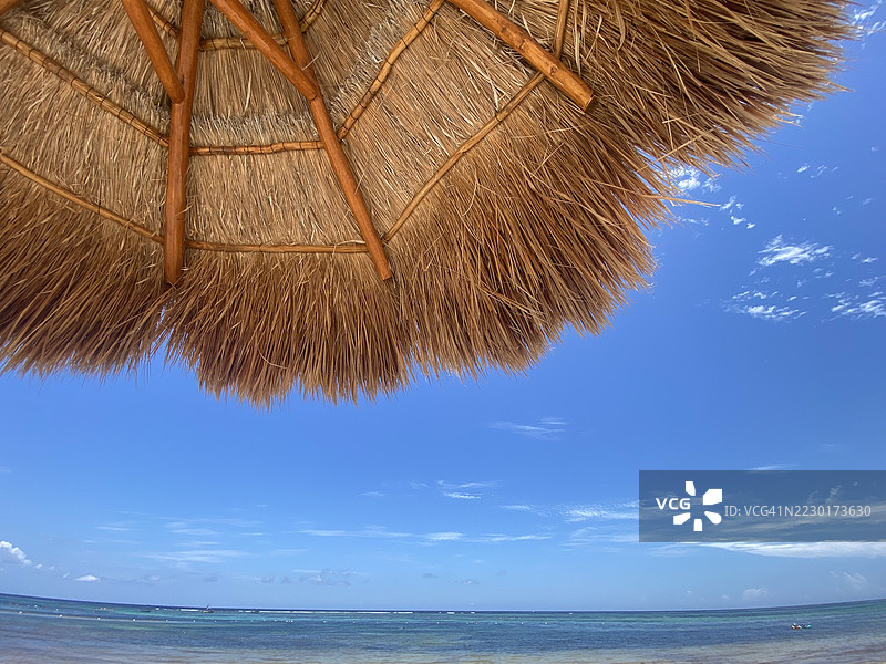 热带海滩上的茅草伞，阿库马尔，墨西哥图片素材