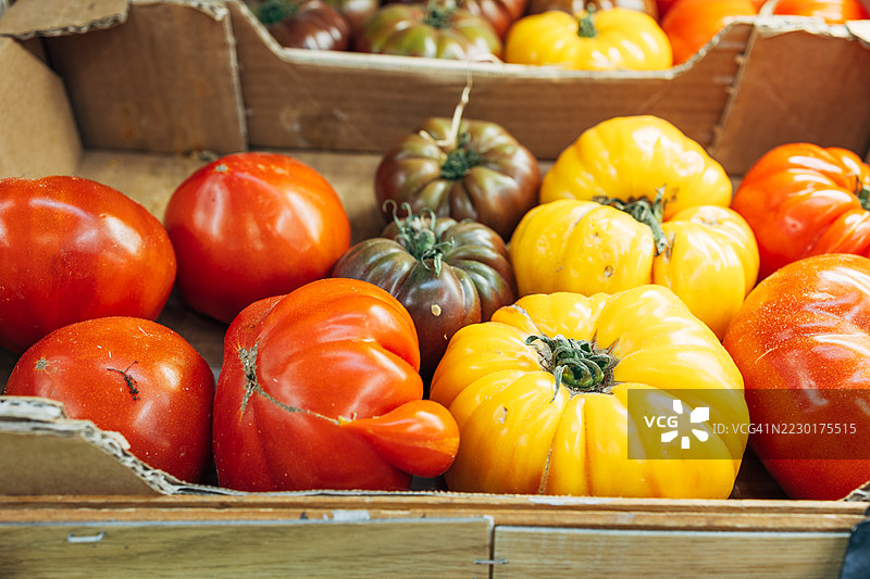 在当地农贸市场的木箱中展示的鲜艳红色、黄色和棕色的传家宝番茄，展现了自然丰收的多样性。图片素材