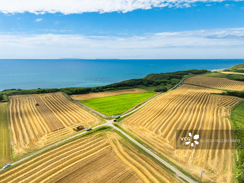 两台大型联合收割机在小麦田中作业，鸟瞰图图片素材