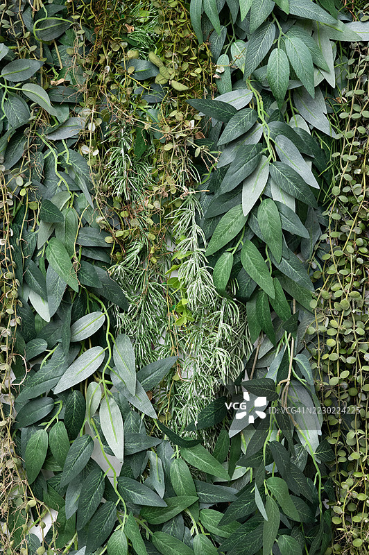 建筑外墙上的人造植物叶塑料面板图片素材