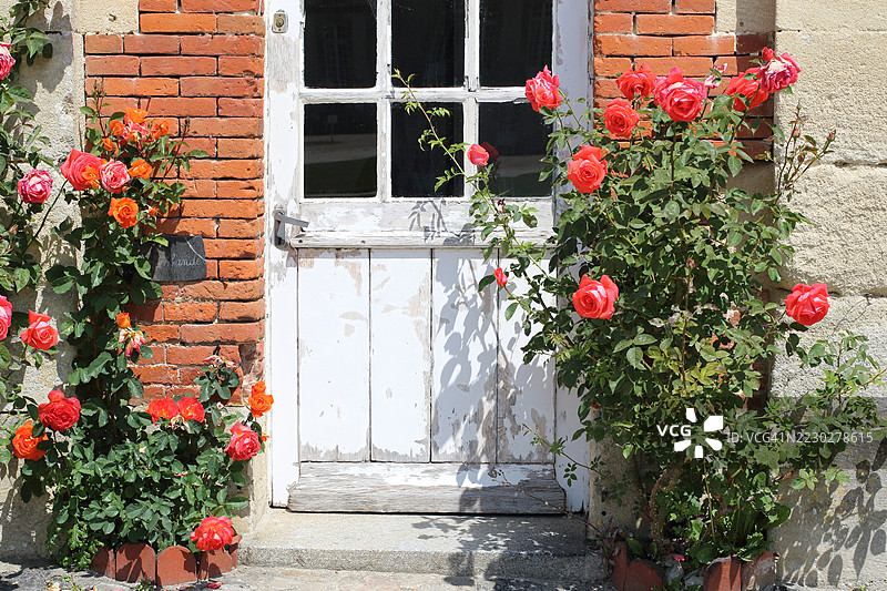 窗户上的玫瑰图片素材