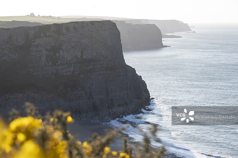 高尔海岸线的清晨光线图片素材