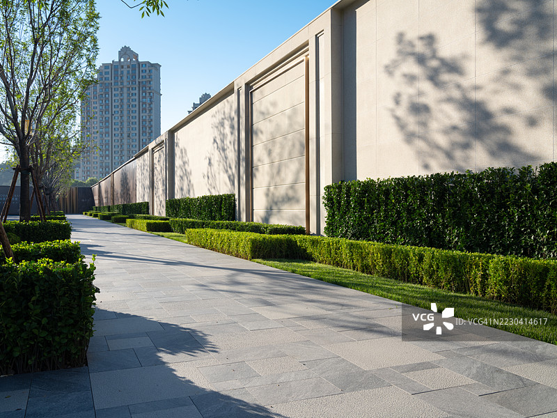 树影映在墙上图片素材