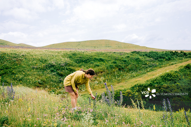 中年女性在起伏的山丘上采摘花朵图片素材