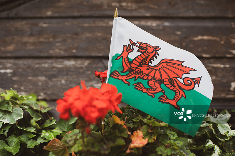威尔士龙旗图片素材