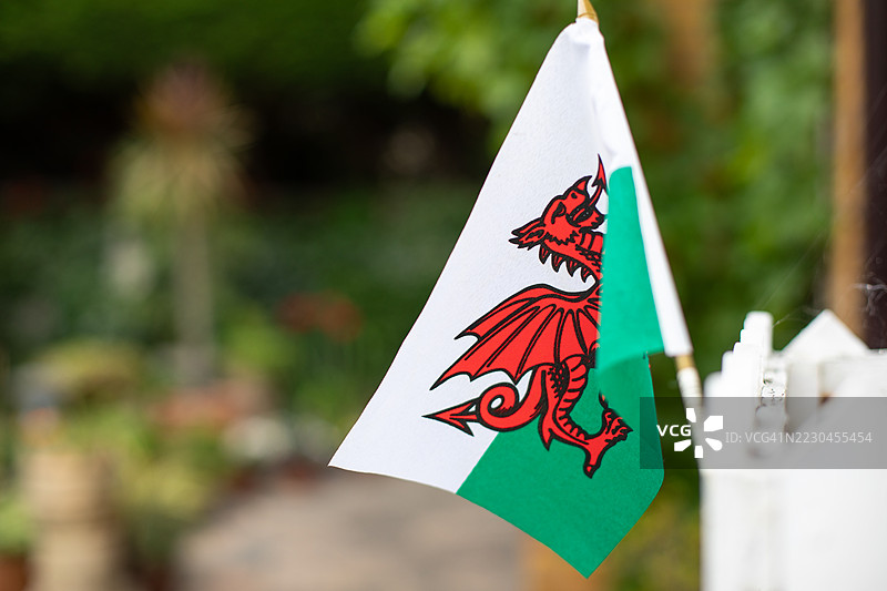 威尔士龙国旗图片素材