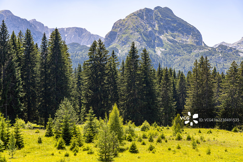 杜尔米托国家公园和山脉的风景如画，阳光明媚的夏日，迪纳里克阿尔卑斯山，黑山，欧洲图片素材