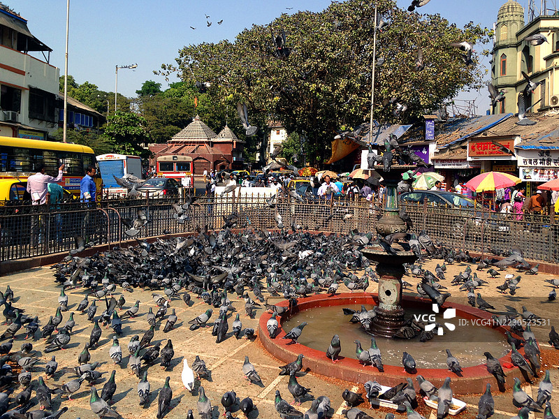 达达尔的卡布塔尔卡纳，孟买图片素材