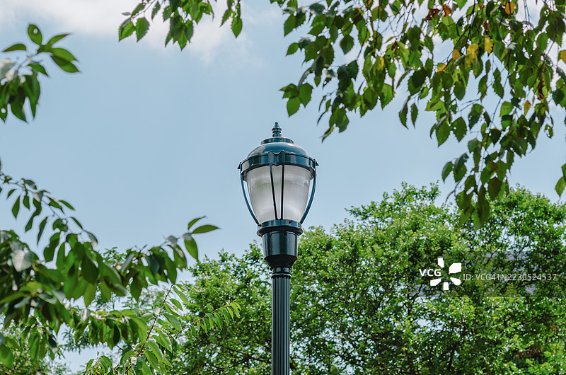 公园里的路灯图片素材