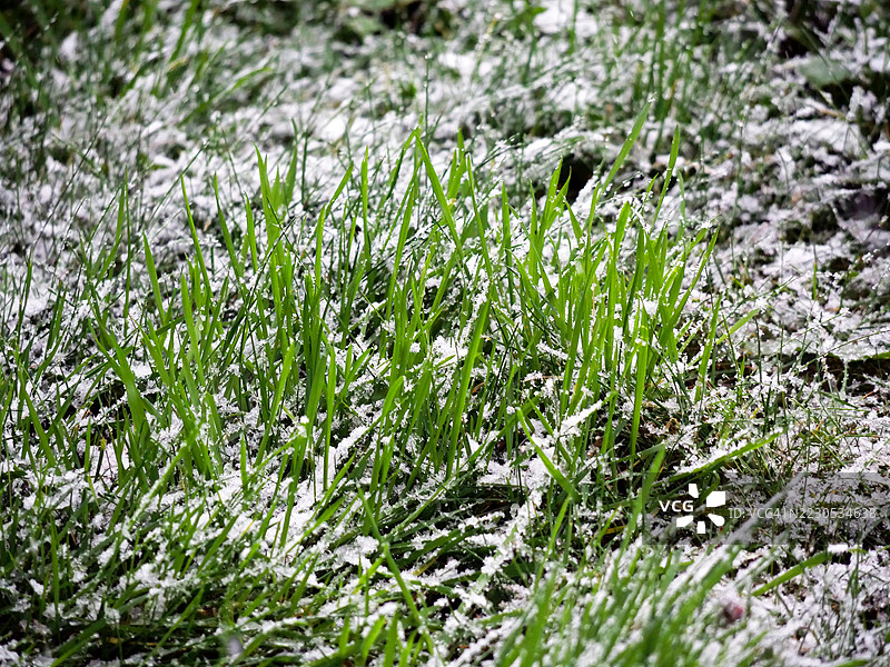 草地上的雪。法国上萨瓦省埃维昂-莱-班。自然光和色彩。4:3格式。图片素材