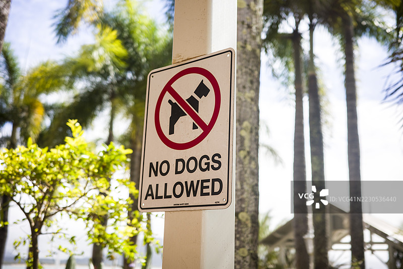 禁止带狗标志图片素材