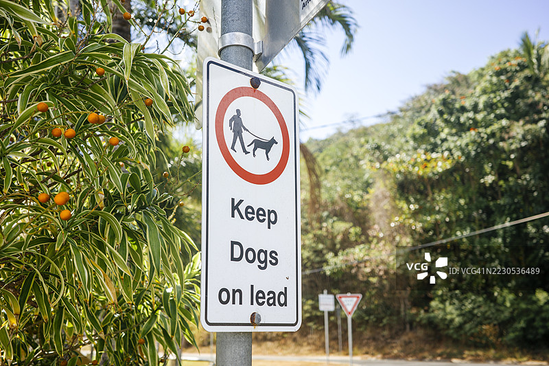 请牵好狗狗的标志图片素材