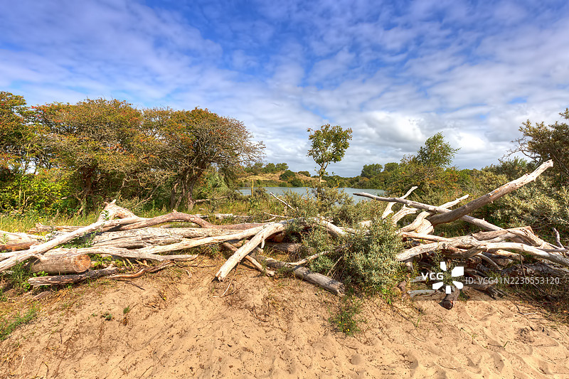 梅耶登德自然保护区内的沙丘湖，靠近斯赫弗宁恩图片素材