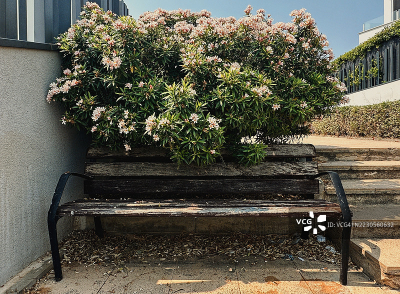 城市中的废弃长椅图片素材