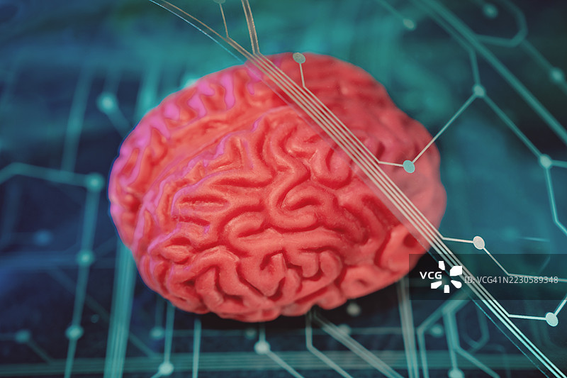 蓝色和紫色的抽象电路板技术背景上的大脑。神经科学、大脑发展和学习。人工智能行业。图片素材