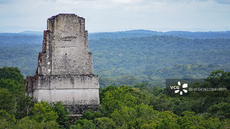 从提卡尔的四号寺庙俯瞰：丛林与宏伟的玛雅金字塔图片素材