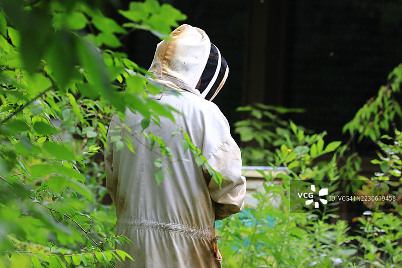 穿着防护服的养蜂人图片素材