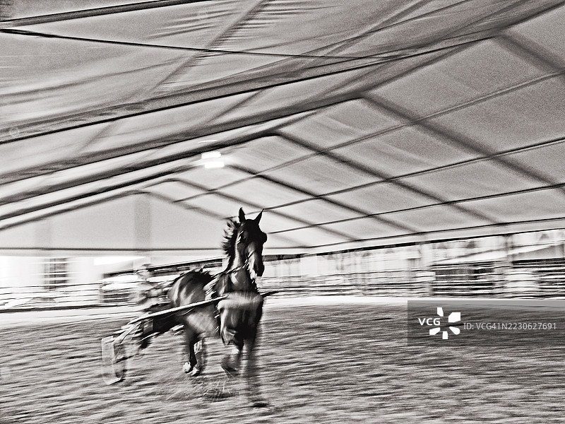 马车赛马表演图片素材