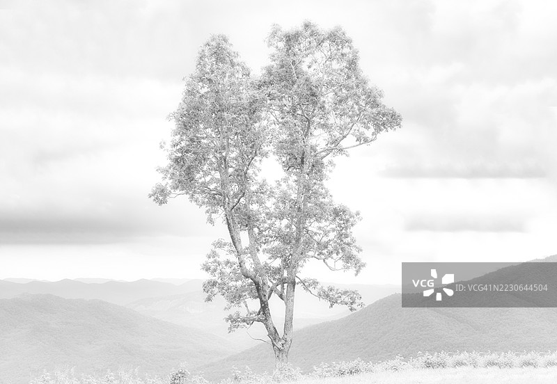 大烟山国家公园图片素材