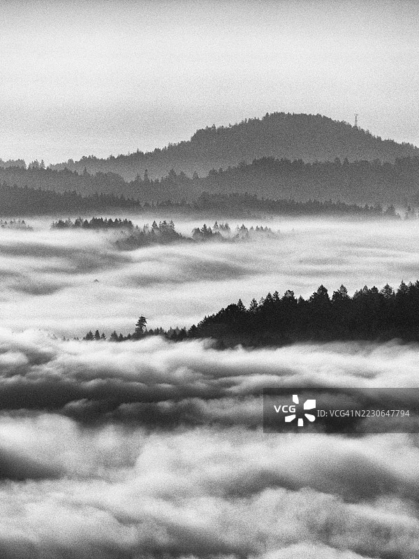 加拿大不列颠哥伦比亚省温哥华岛图片素材