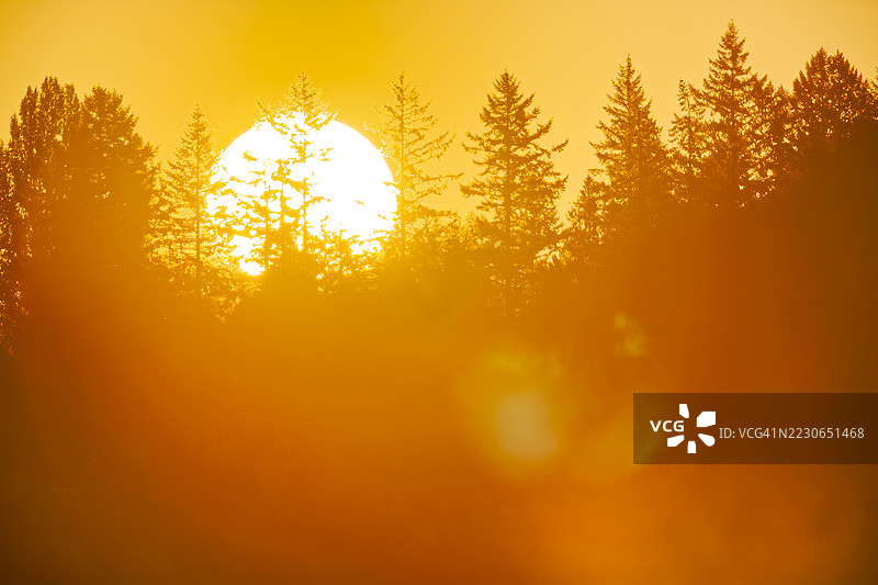 加拿大不列颠哥伦比亚省温哥华岛图片素材